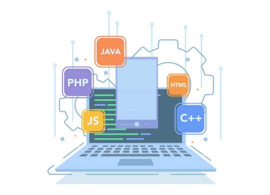 Software & Web Development